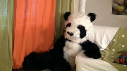 Sex toy party with a excited panda bear