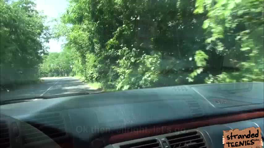 Hanna and her bf fucked inside the truck filmed by a pervy driver