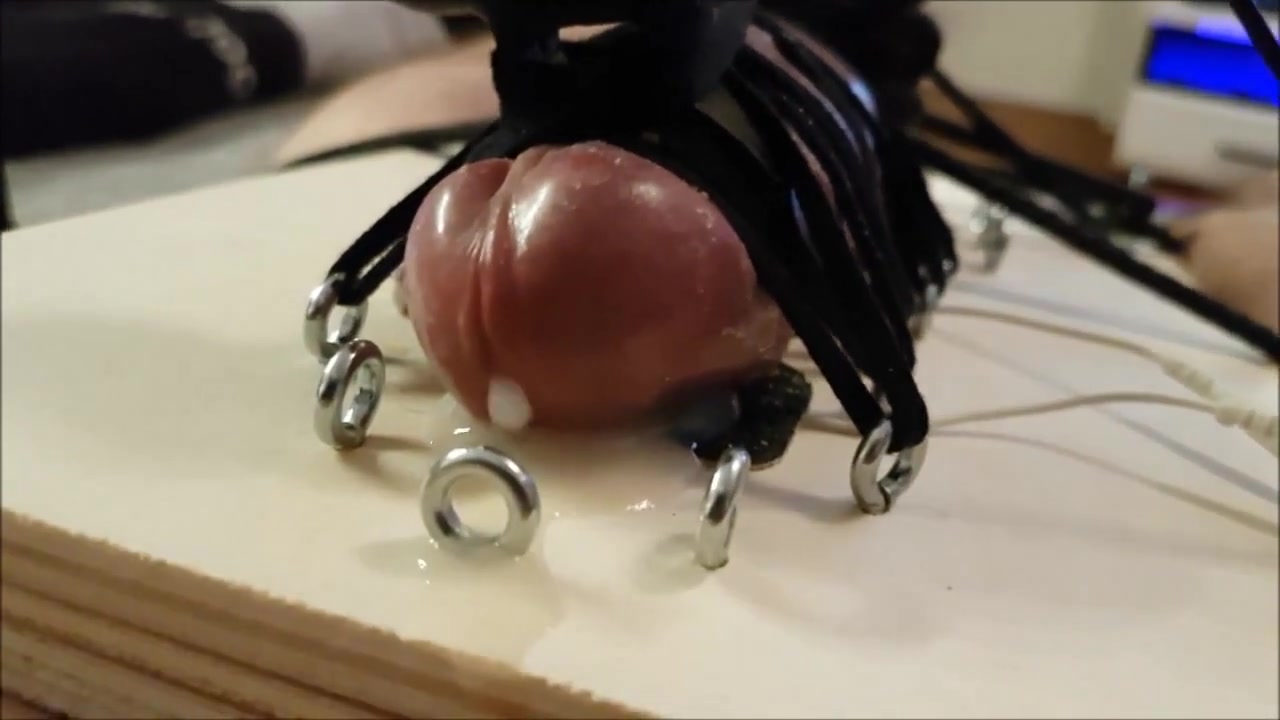 Cock and ball torture electro cum poppers pig