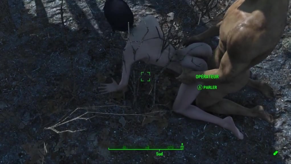 Fallout 4 pillards sex land part 1