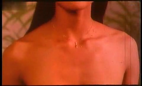 Laura Gemser,Michele Starck in Black Cobra (1983)