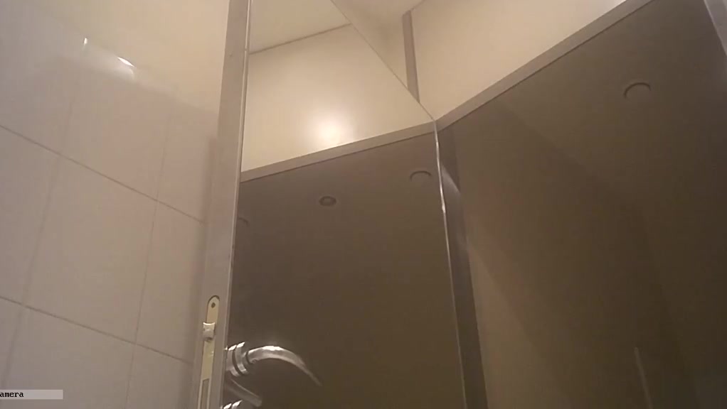 Hidden wc cam 6