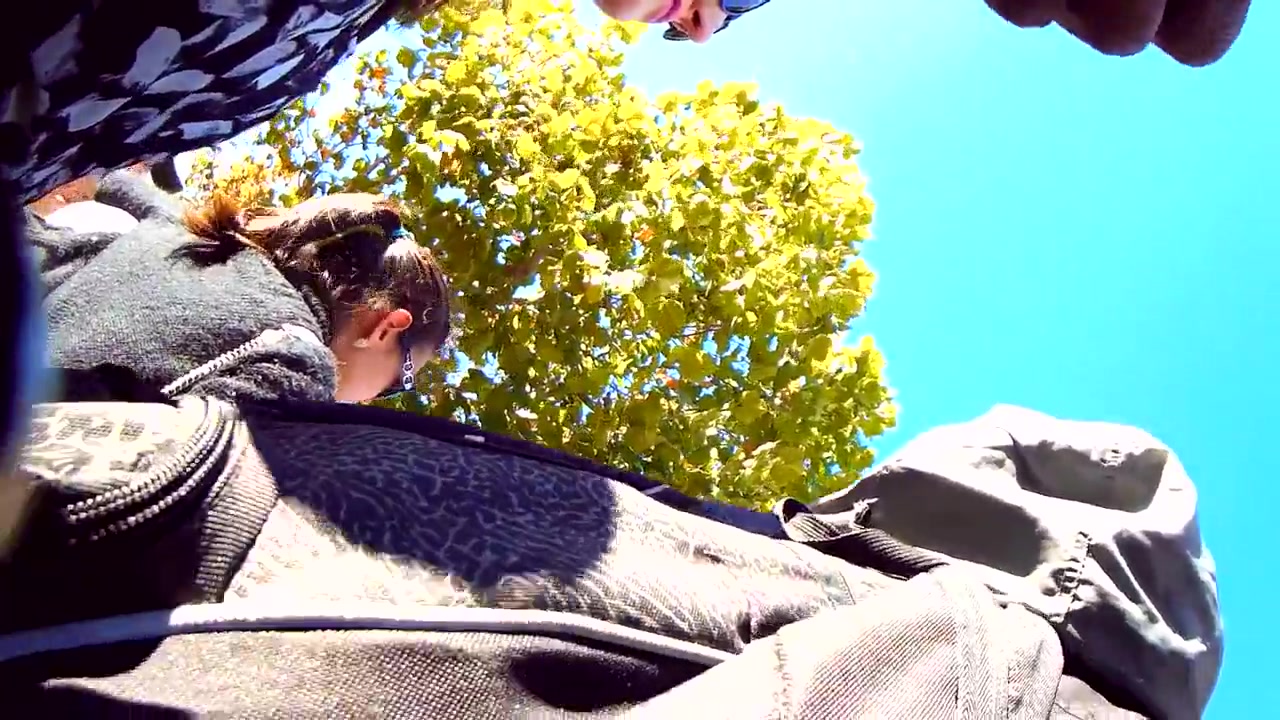 UPSKIRT KING 253